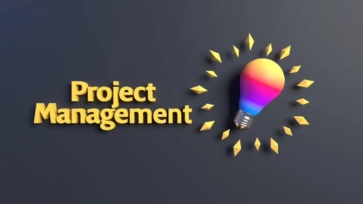 Project Management Client Portal Software